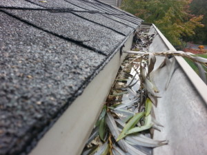 Gutters needs cleaning