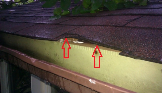 Chicago Home Inspection